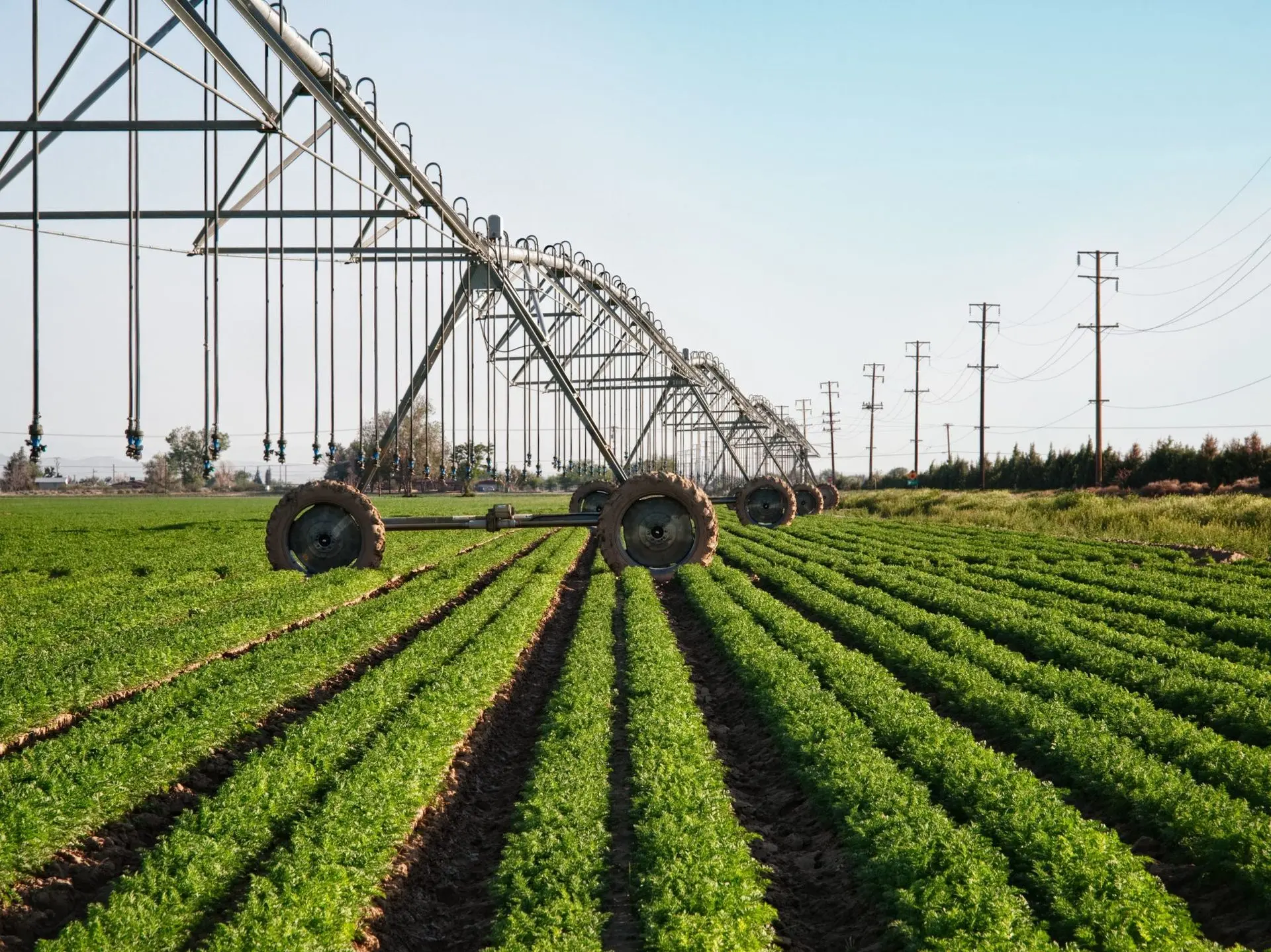 Center pivot irrigation system running across rows of green crops